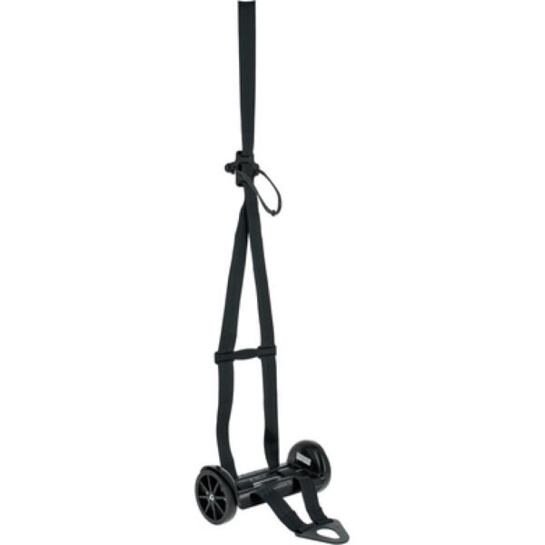 RC Williams Company Bass Buggie
