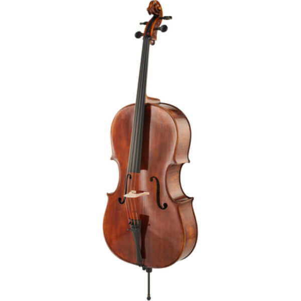 Thomas Stöhr Master Professional Montagnana